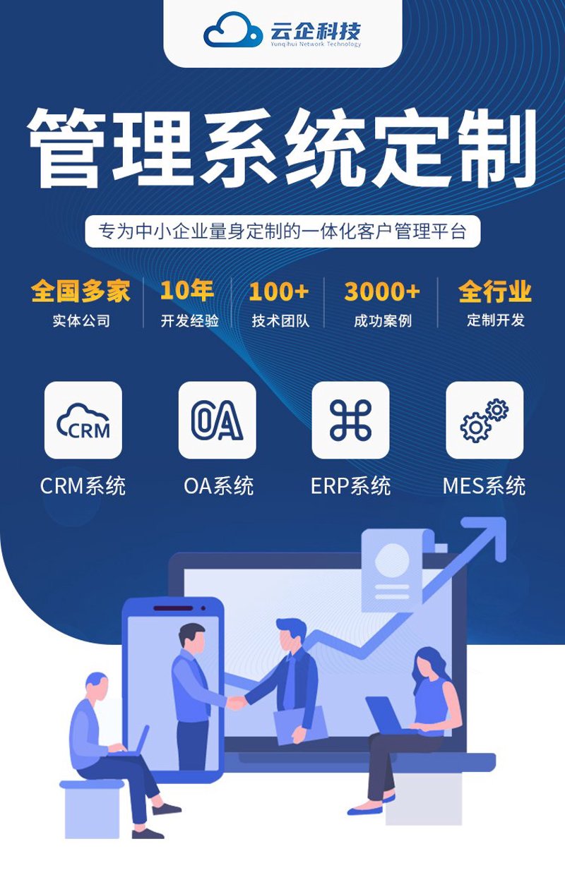 系统定制开发：构建属于你的数字桥梁
