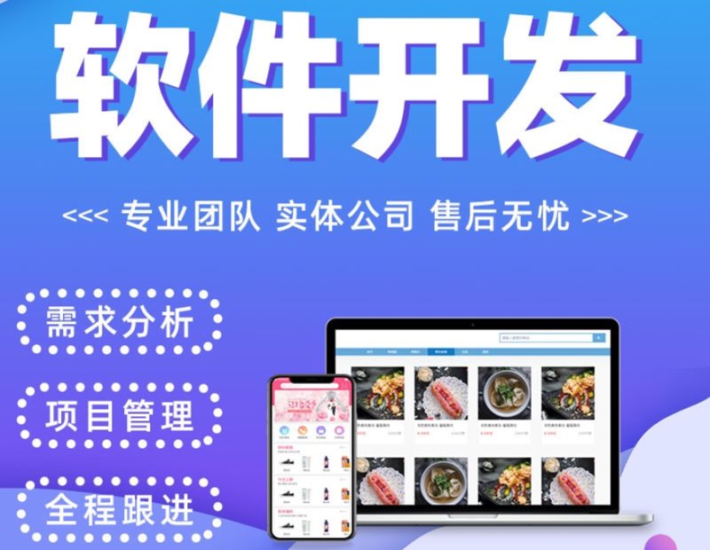 小程序开发：轻量化应用的未来趋势